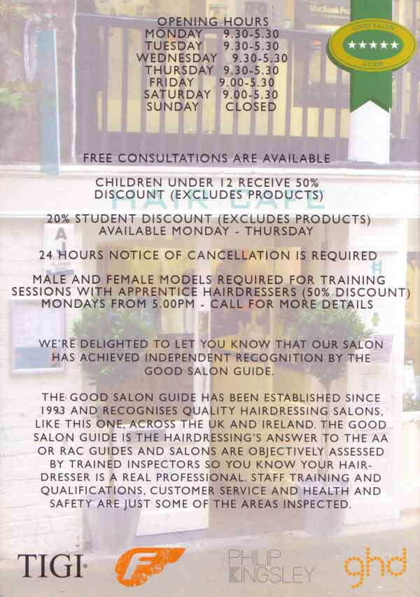 Watergate Street - Hair Cafe Page 3